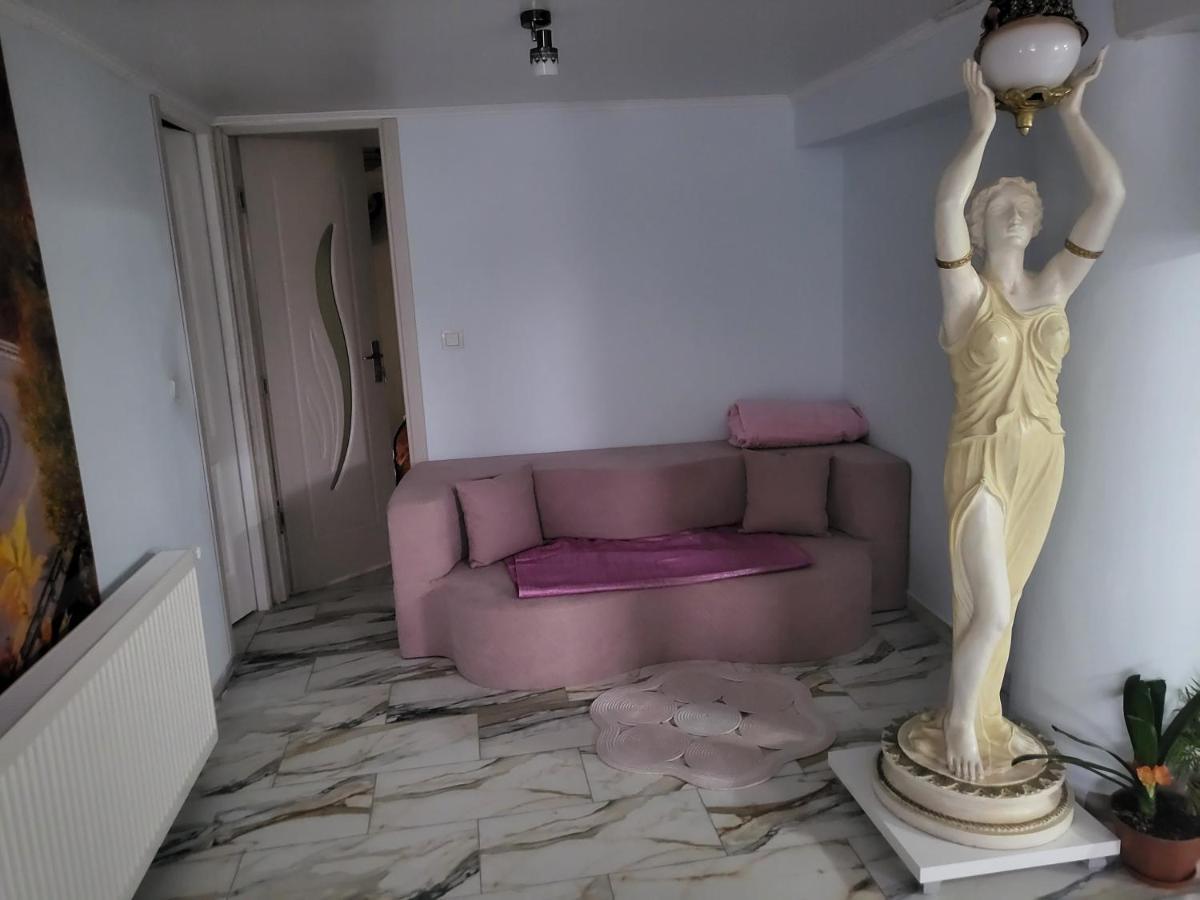 Apartament Cu Terasa Si Gratar Apartamento Satu Mare Exterior foto